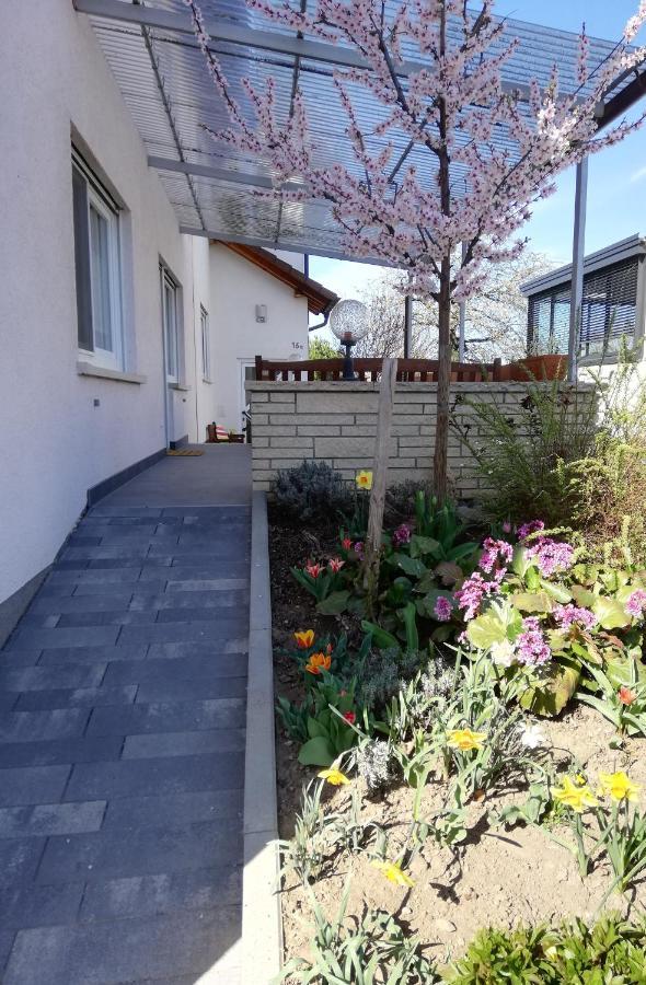 Ferienhaus Rauwolf Mit 2 Ferienwohnungen Roschbach Екстериор снимка
