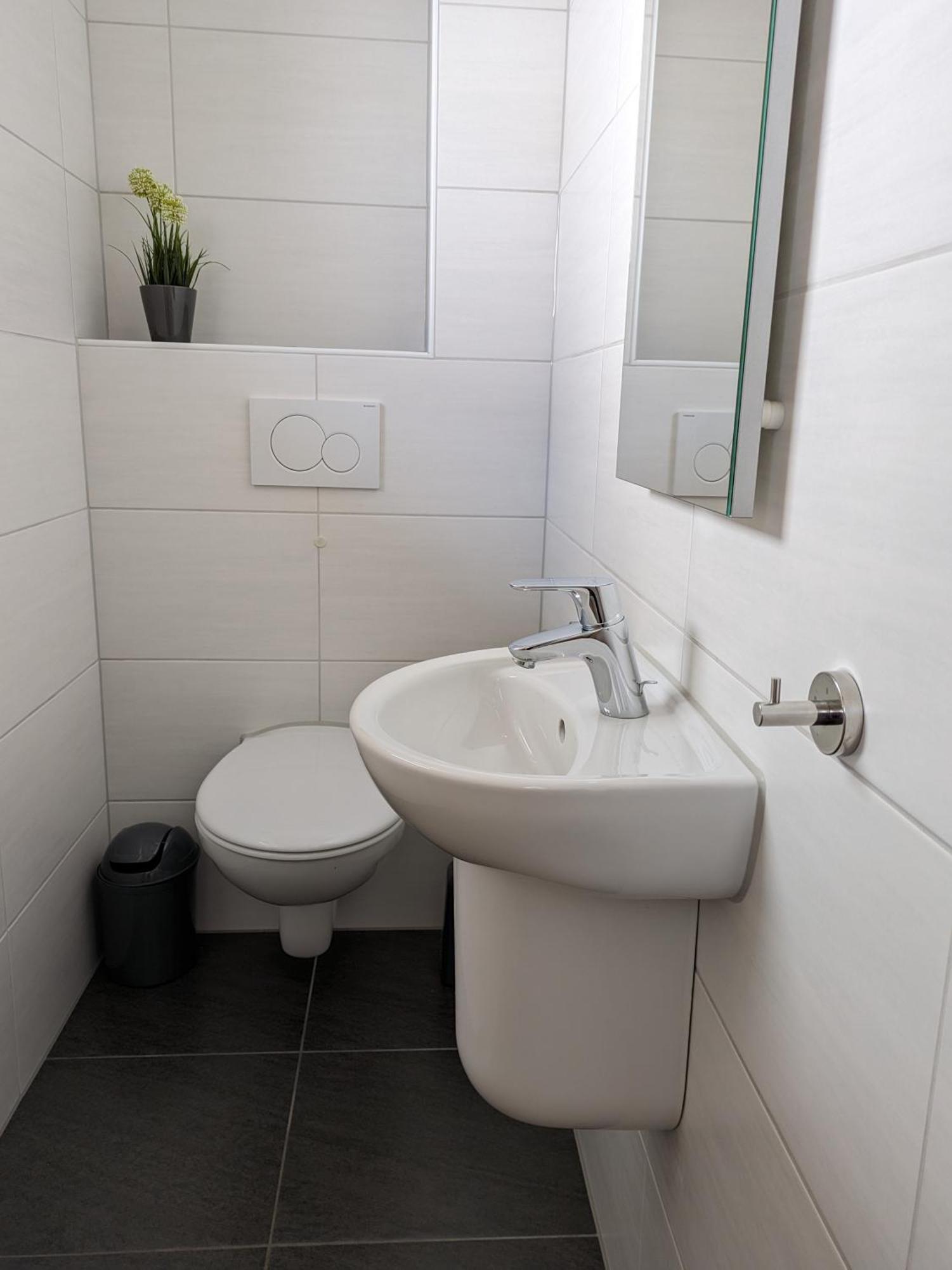 Ferienhaus Rauwolf Mit 2 Ferienwohnungen Roschbach Екстериор снимка