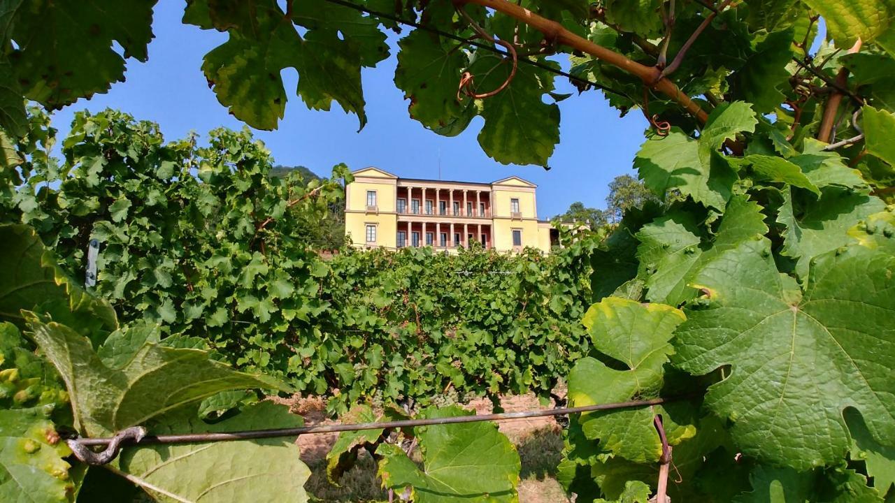 Ferienhaus Rauwolf Mit 2 Ferienwohnungen Roschbach Екстериор снимка